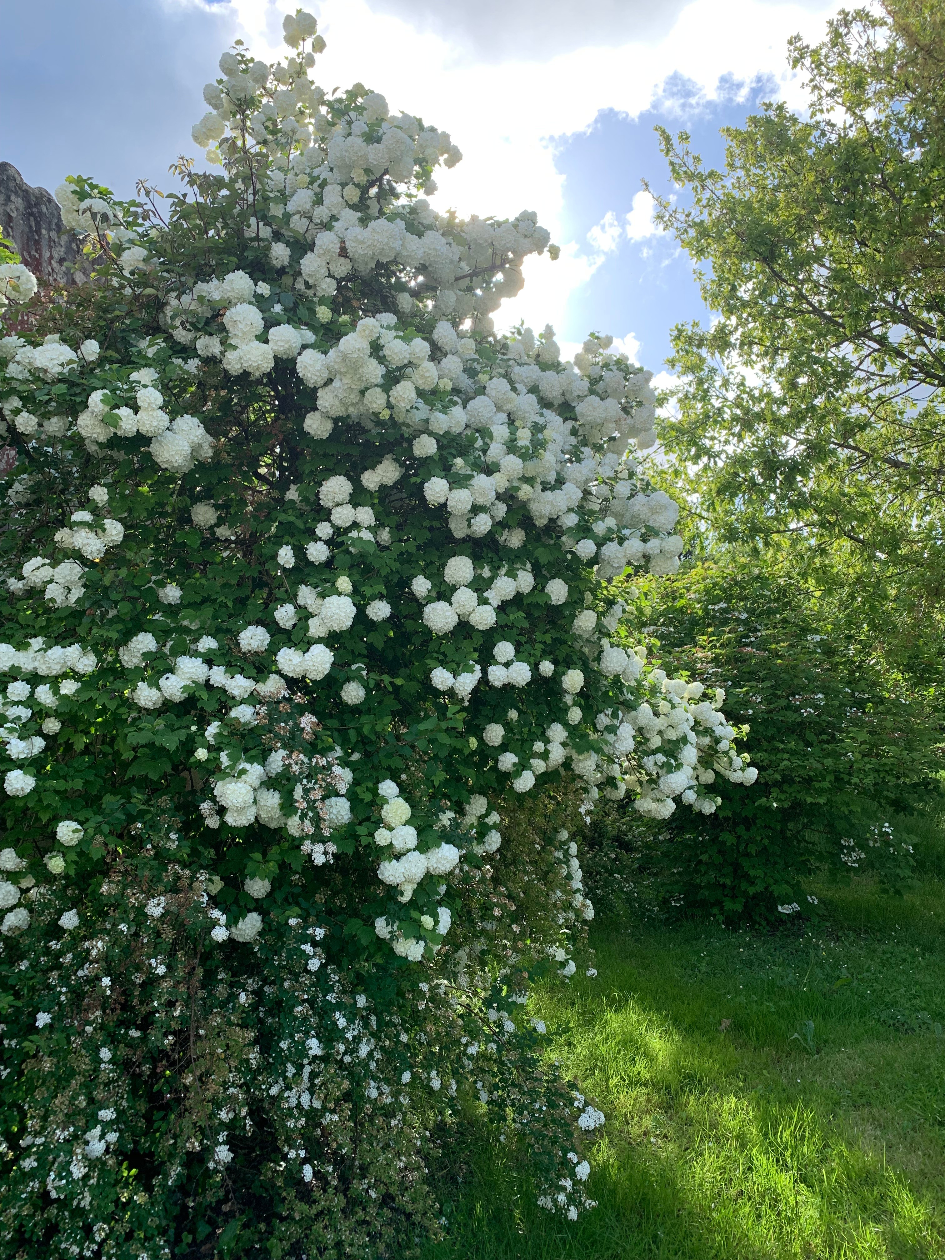 Photo n° 14 de la location