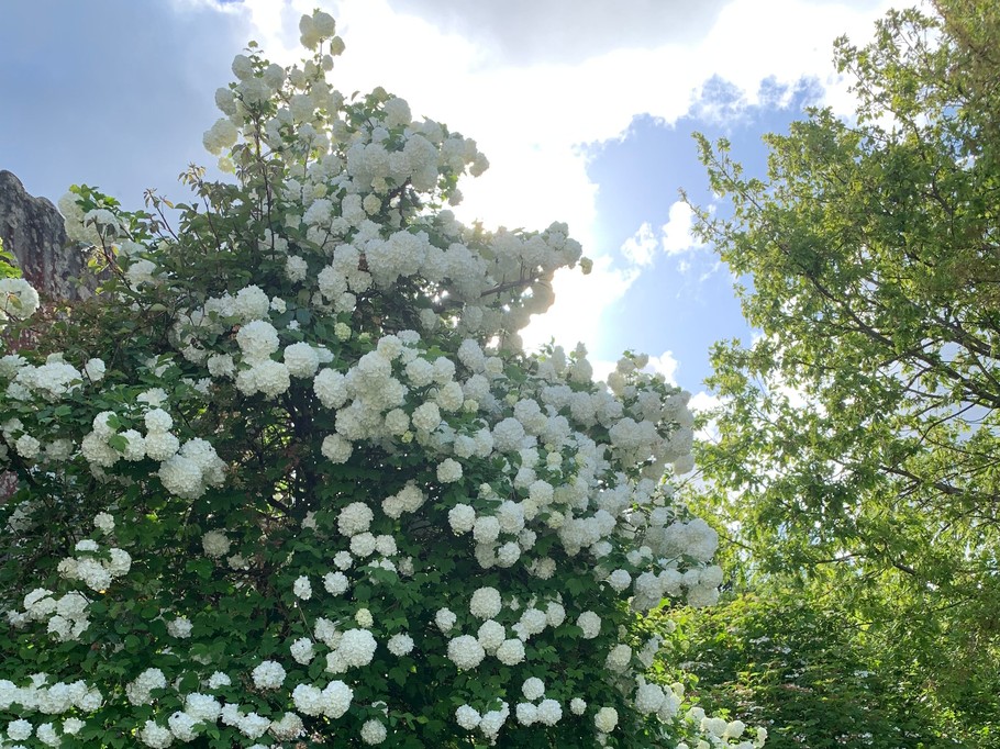 Photo n° 14 of the location