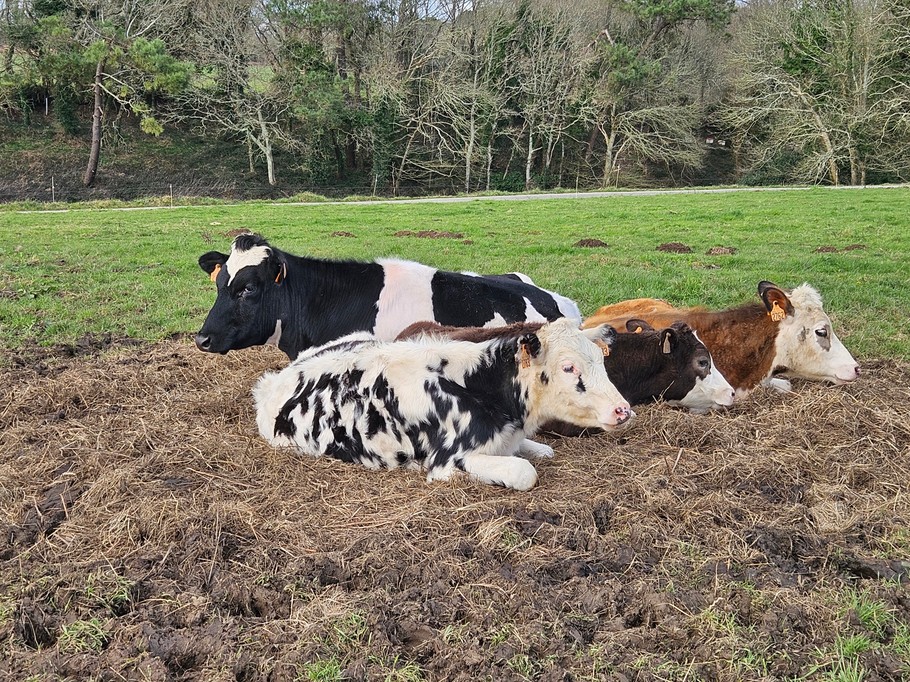 Photo n° 11 of the location