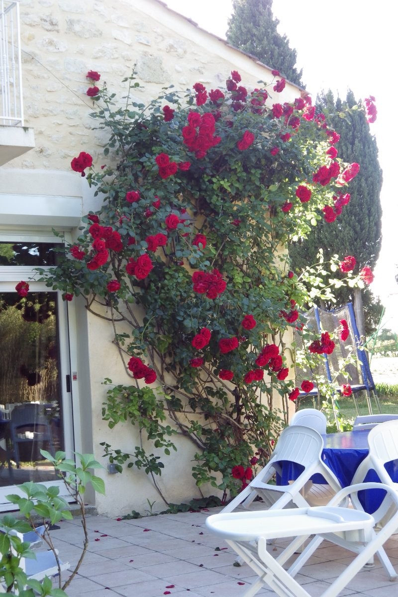 Photo n° 12 de la location
