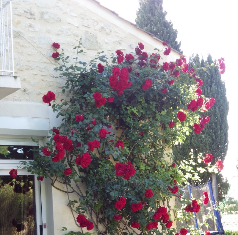 Photo n° 12 of the location