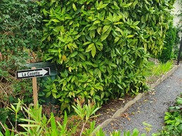 Chemin d'accès à "La Casetta" à proximité d'Epinal