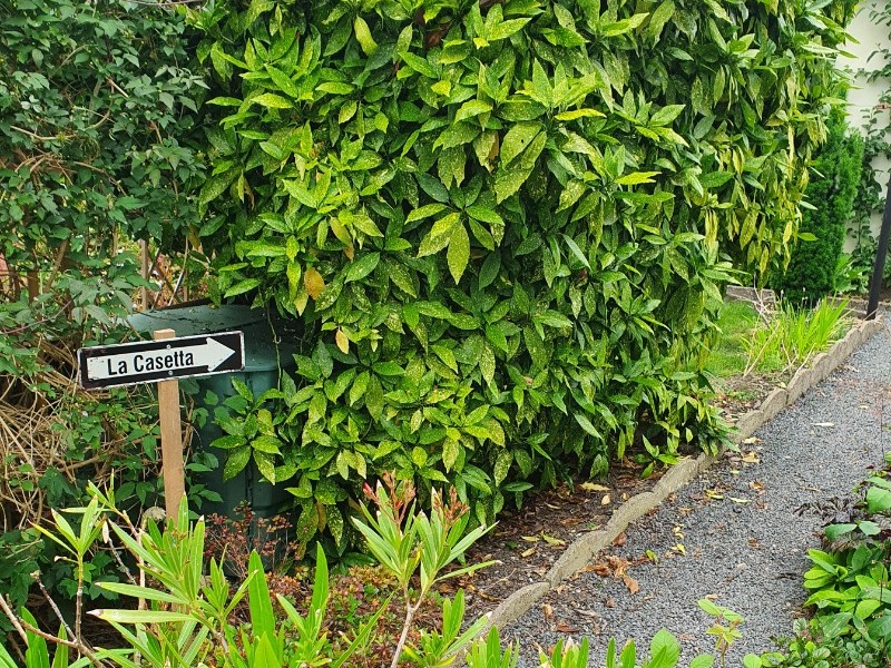 Chemin d'accès à "La Casetta" à proximité d'Epinal