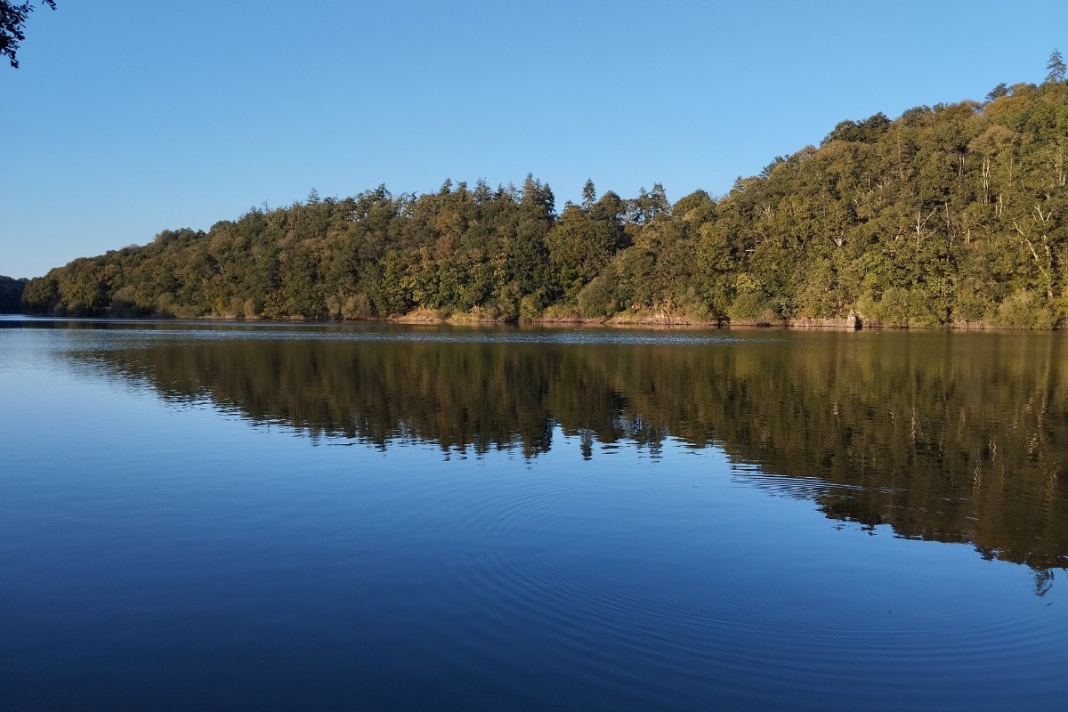 Photo n° 15 de la location