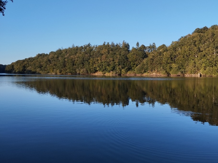 Photo n° 15 de la location