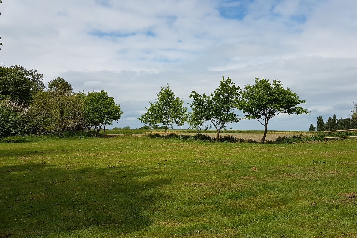 La vue depuis la terrasse à l'arrière du gîte  - Le cellier d'Halouze
