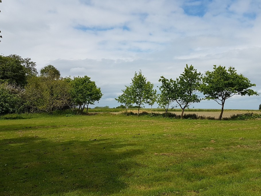 La vue depuis la terrasse à l'arrière du gîte - Le cellier d'Halouze