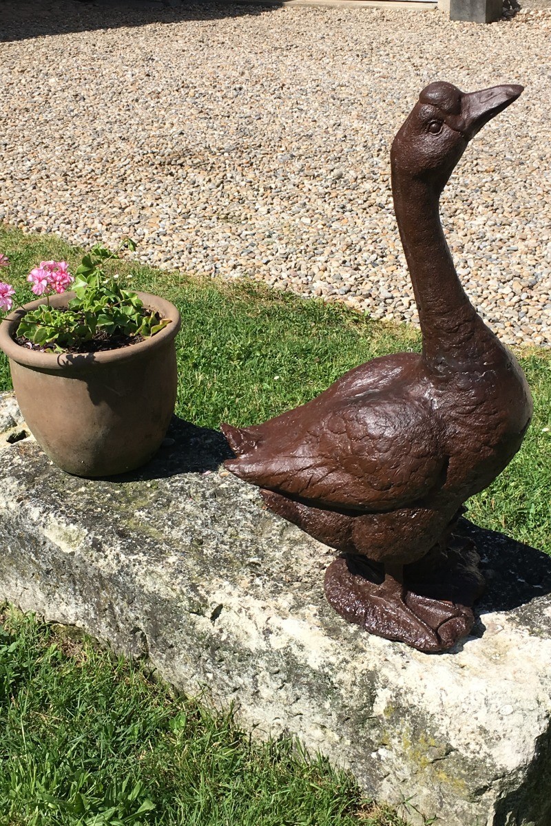 L' oie monte la garde dans le jardin !