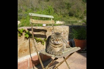 Photo n° 19 de la location