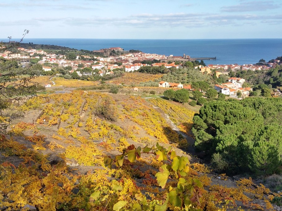 View taken from the vineyards in Autumn
