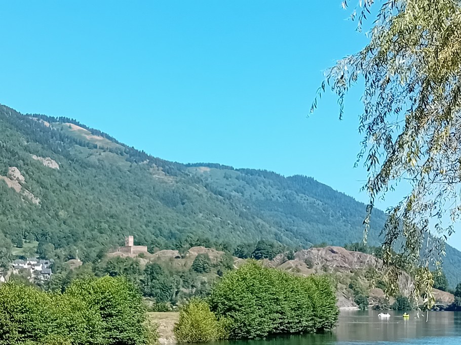 Photo n° 9 de la location