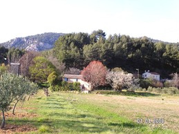 Image n° 4 de la location