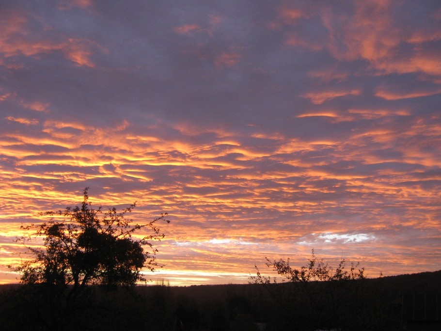 Vue du Gîte :Spectacle Vivant ....programme différent tous les jours !