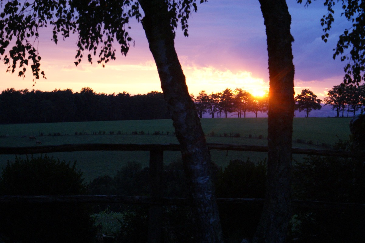 Photo n° 14 de la location
