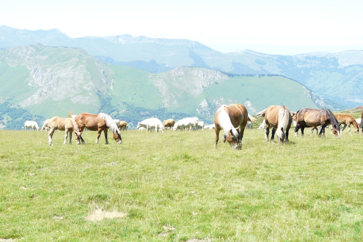 Photo n° 11 of the location