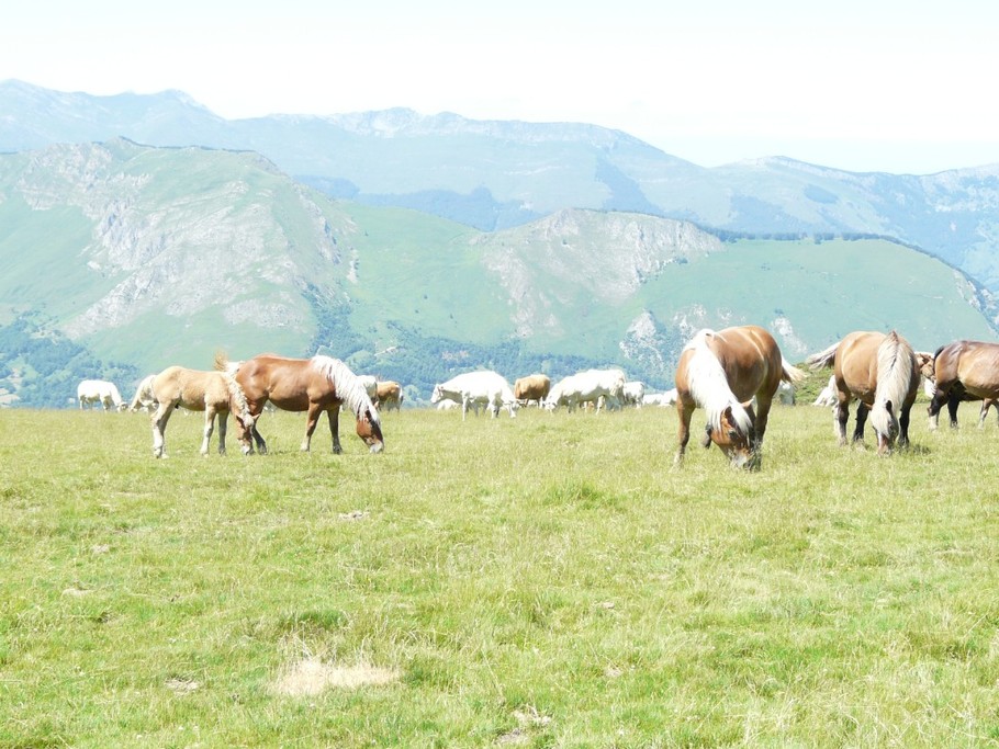 Photo n° 11 of the location