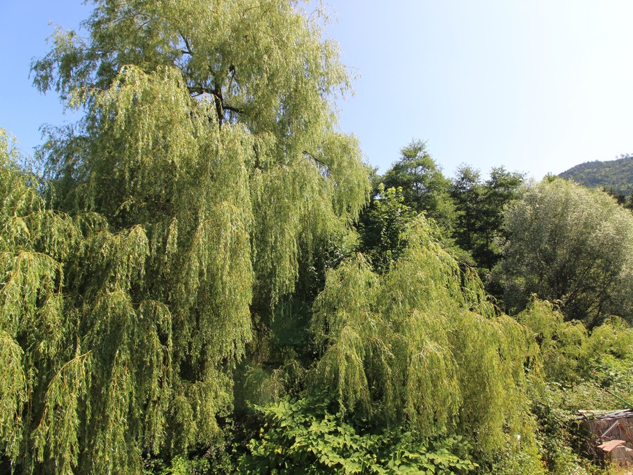 Ecogîte Saint-Prayel à Moyenmoutier – Gîte de groupe avec piscine, sauna, jeux