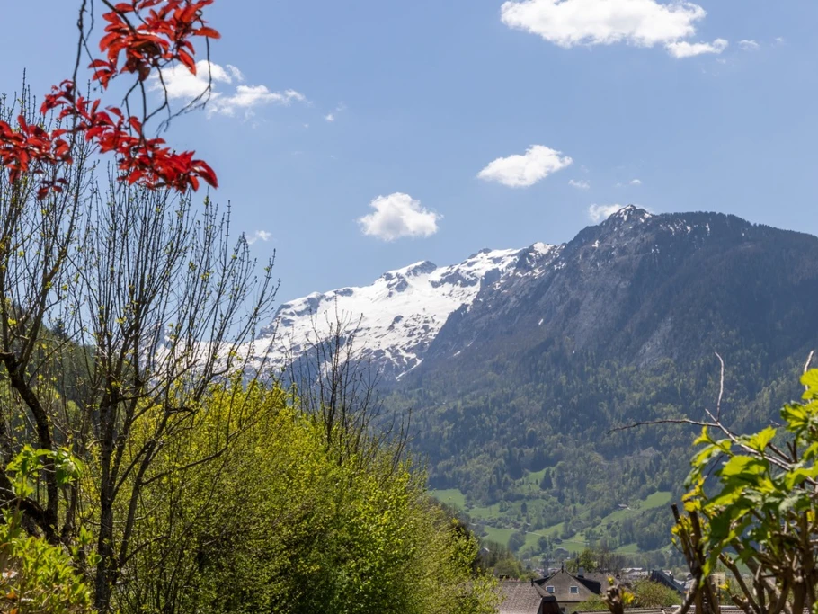 Photo n° 12 de la location