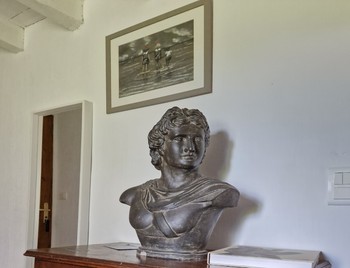 Photo n° 8 de la location