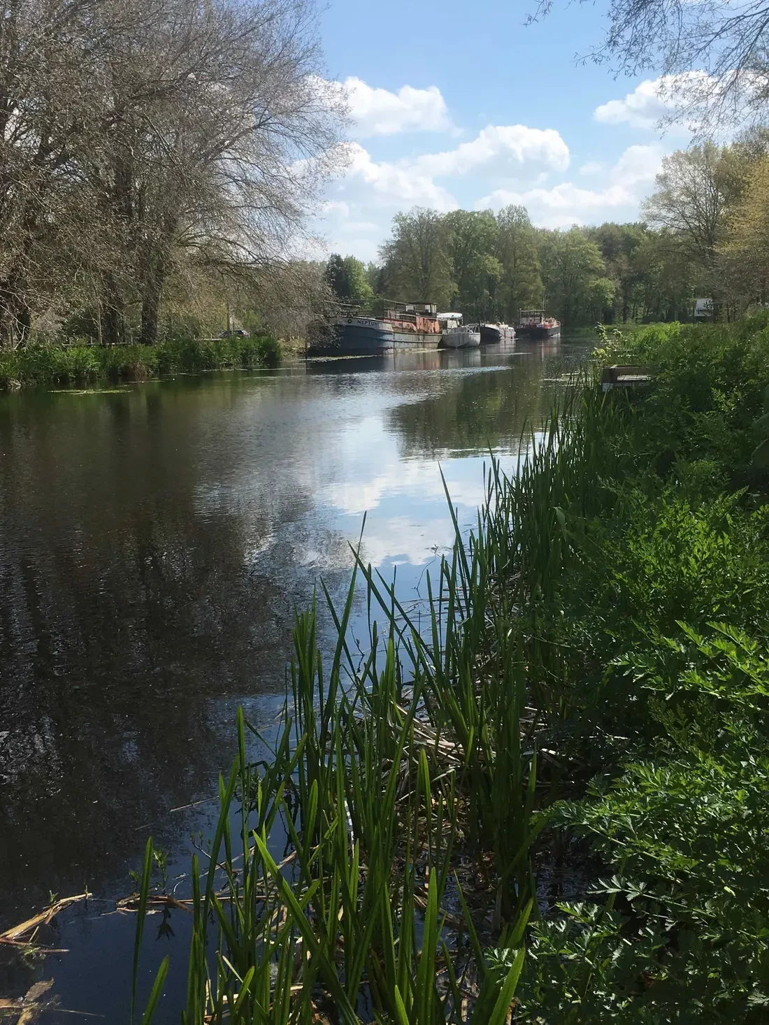 View of the canal at Tinténiac