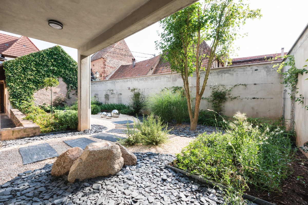 Jardin - cour