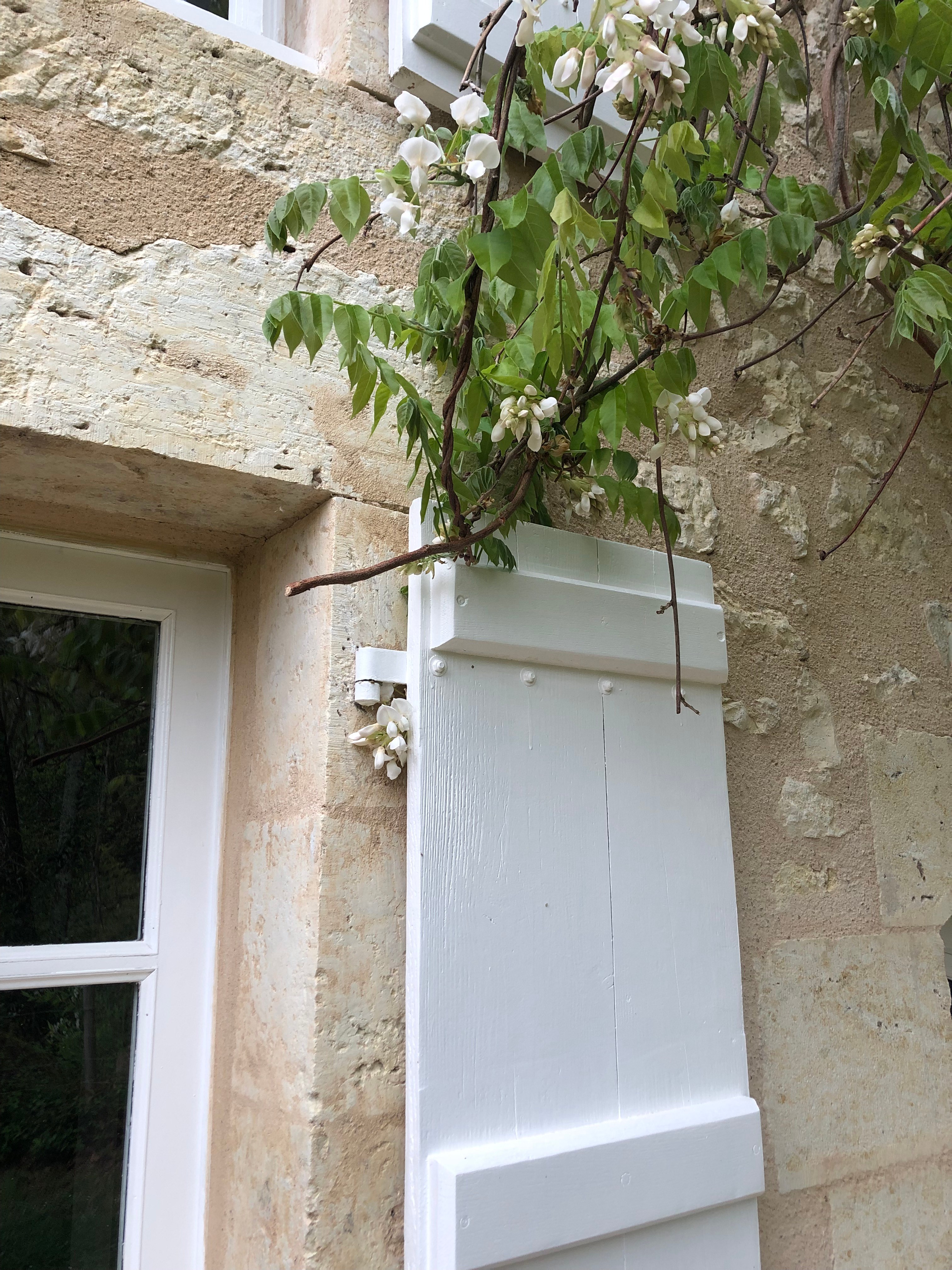 Photo n° 9 de la location