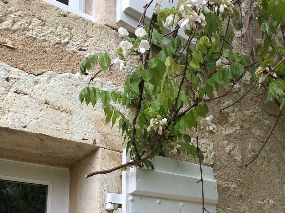 Photo n° 9 of the location