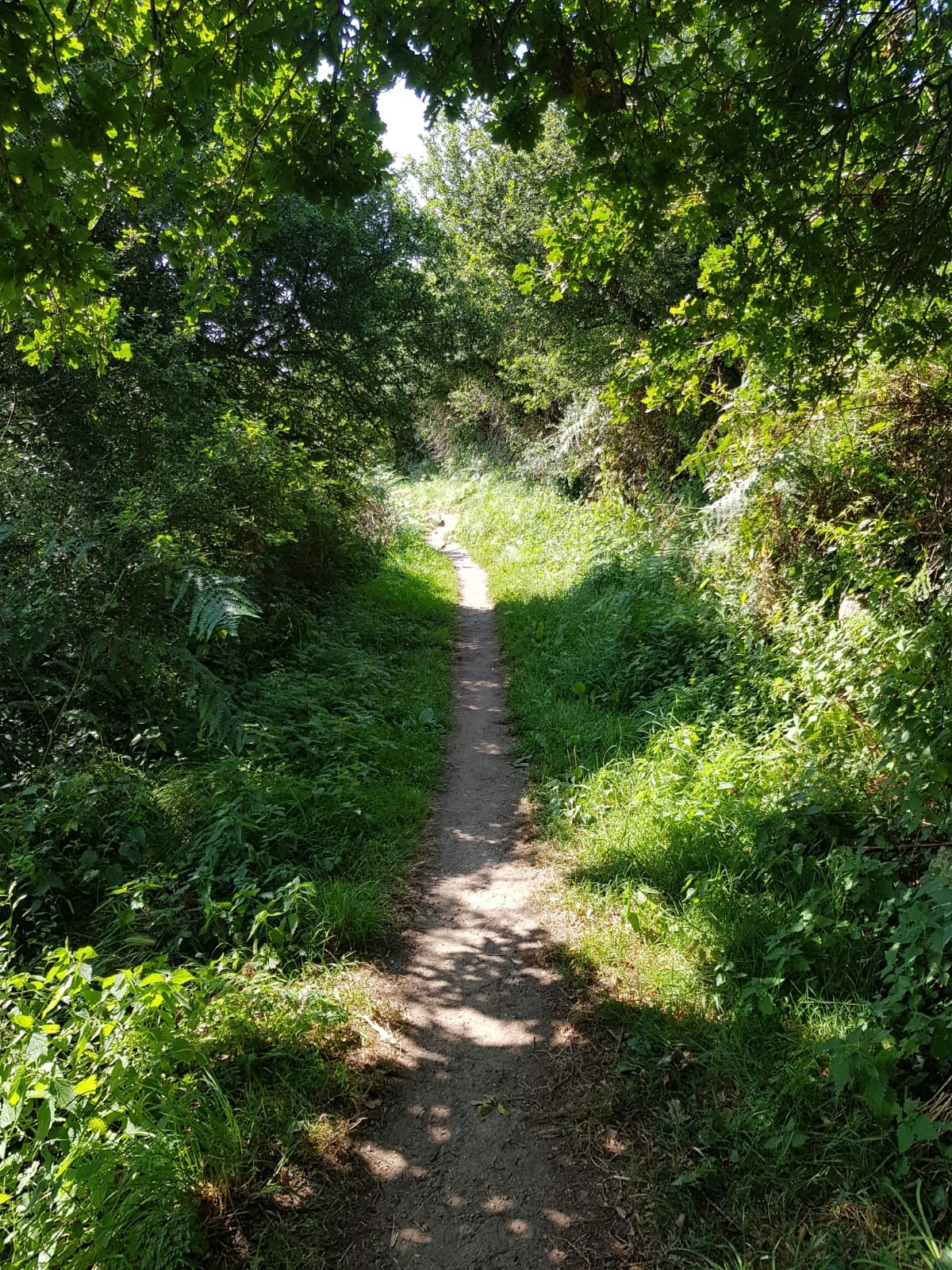 sentier des douaniers accès depuis le logement