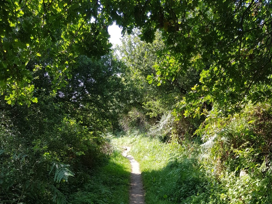 sentier des douaniers accès depuis le logement