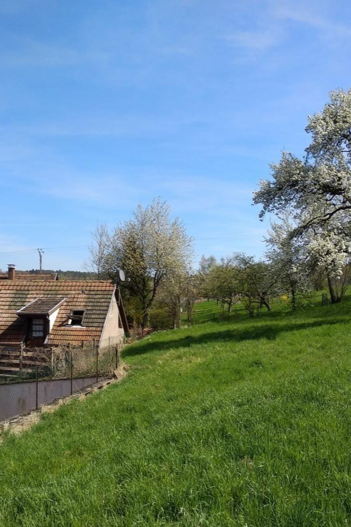 Photo n° 16 of the location