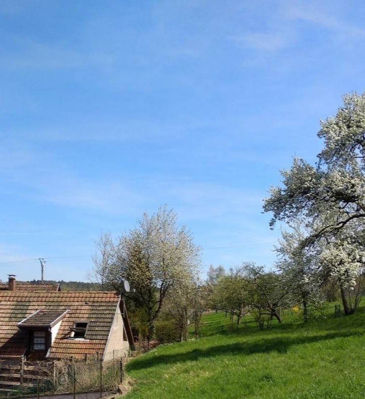 Photo n° 16 of the location