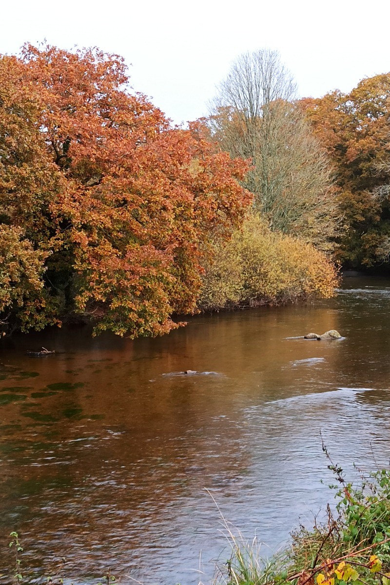 la rivière l'Isole - pour l'activité pêche