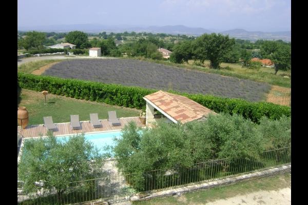 La piscine et ses plages, à gauche (non visible) l'abri du SPA