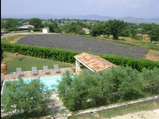La piscine et ses plages, à gauche (non visible) l'abri du SPA