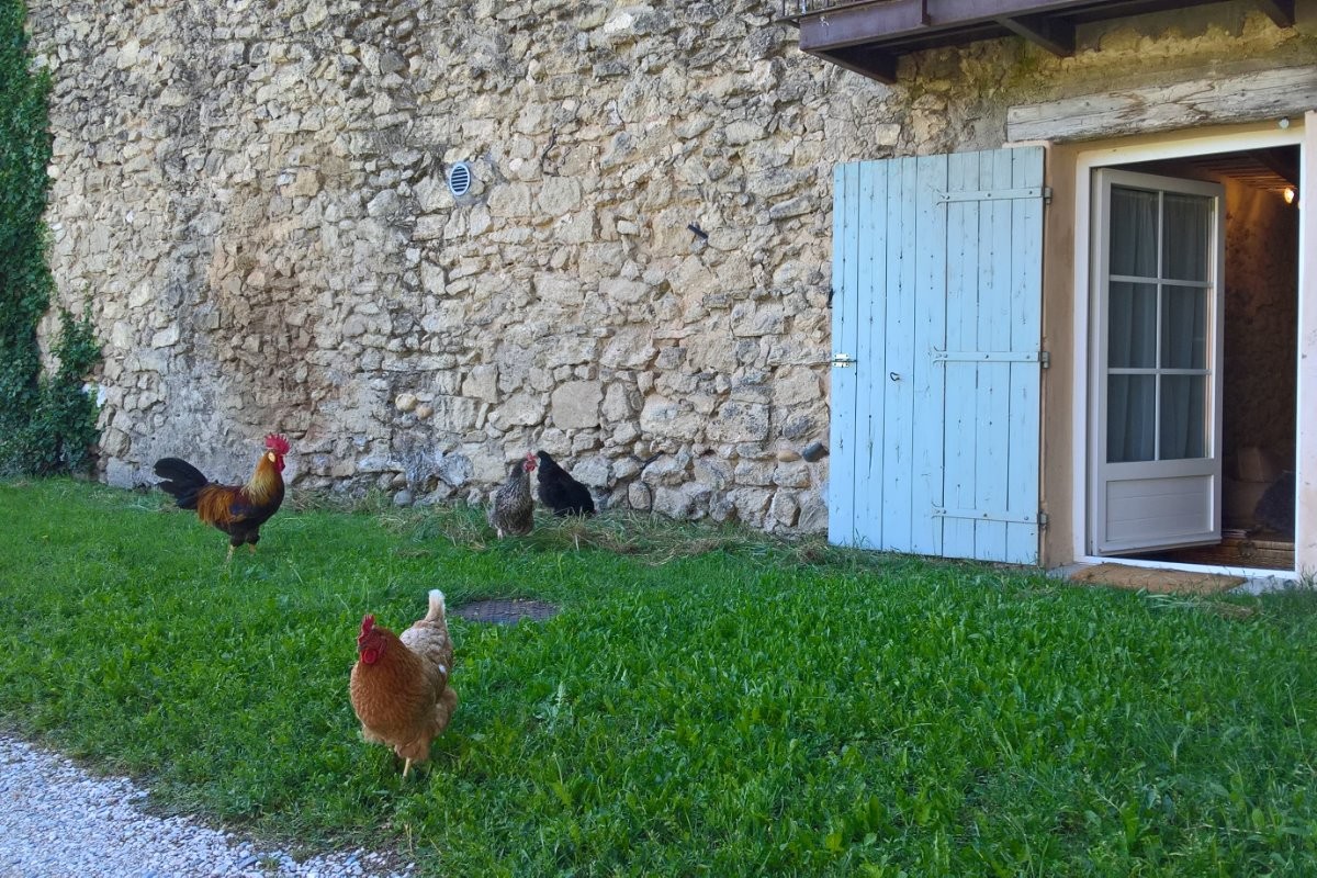 Les locataires annuel du Mas