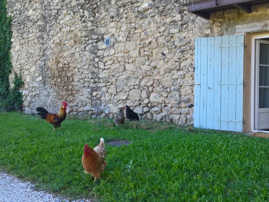 Les locataires annuel du Mas