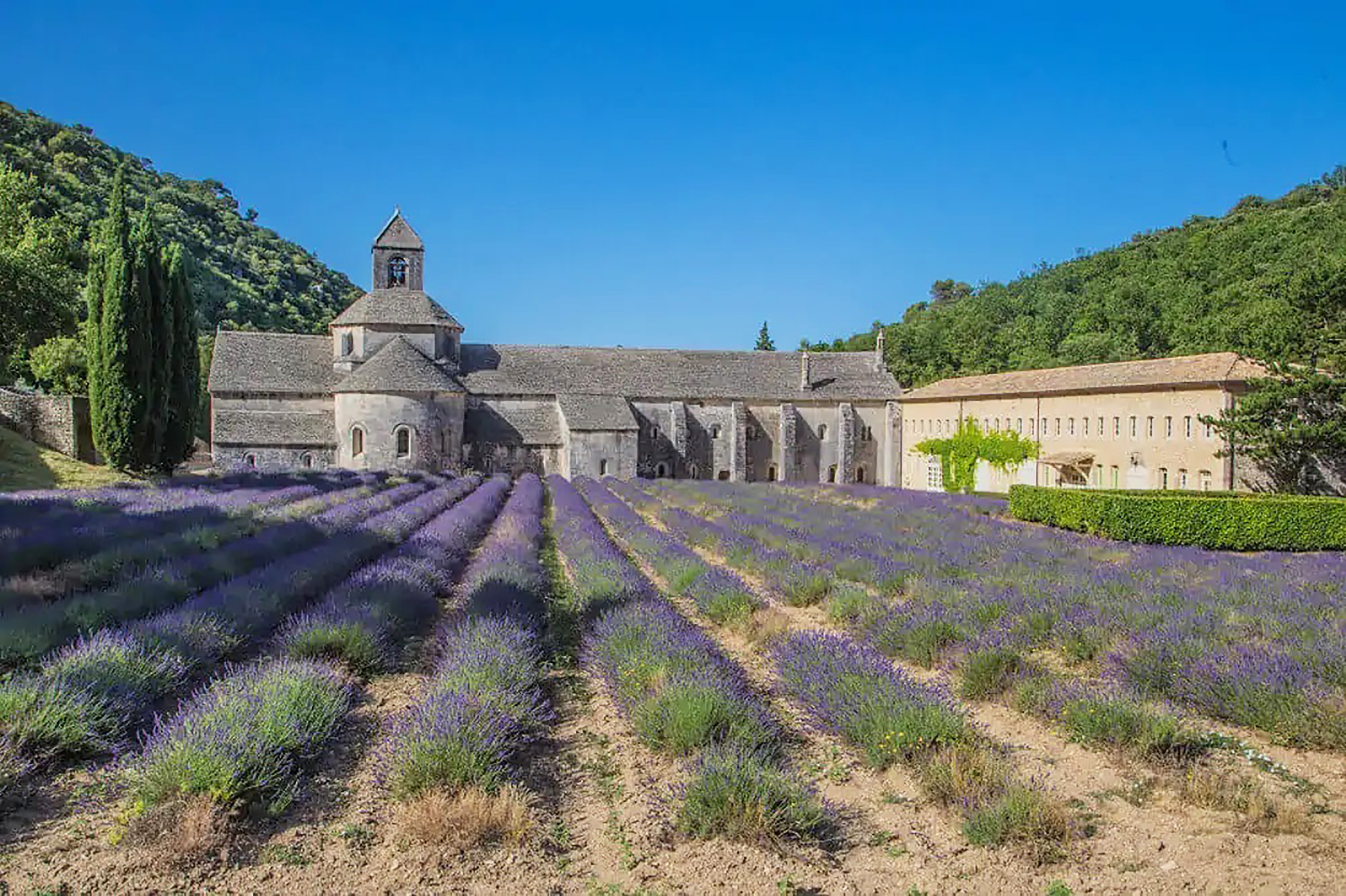 Abbaye de Sénanque