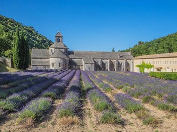 Abbaye de Sénanque