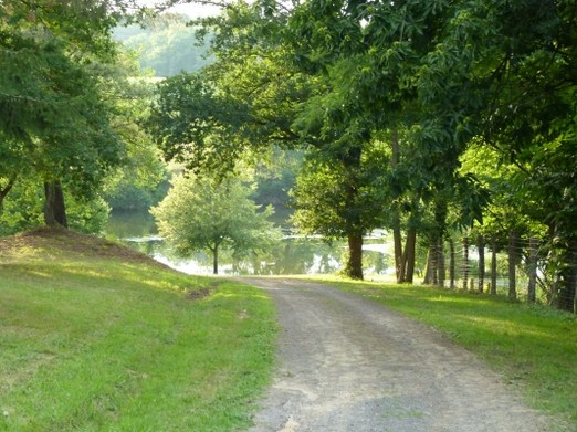 Image n° 2 de la location