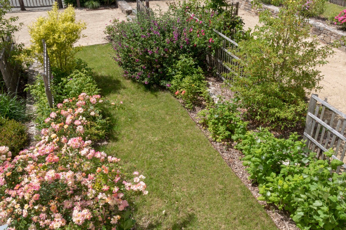 une partie du jardin