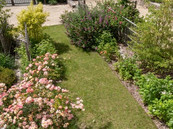 une partie du jardin