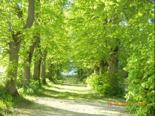 Gîte Les Tilleuls pour 2 à 7 personnes, Ouvert toute l'année, Saint-Mard, Charente maritime