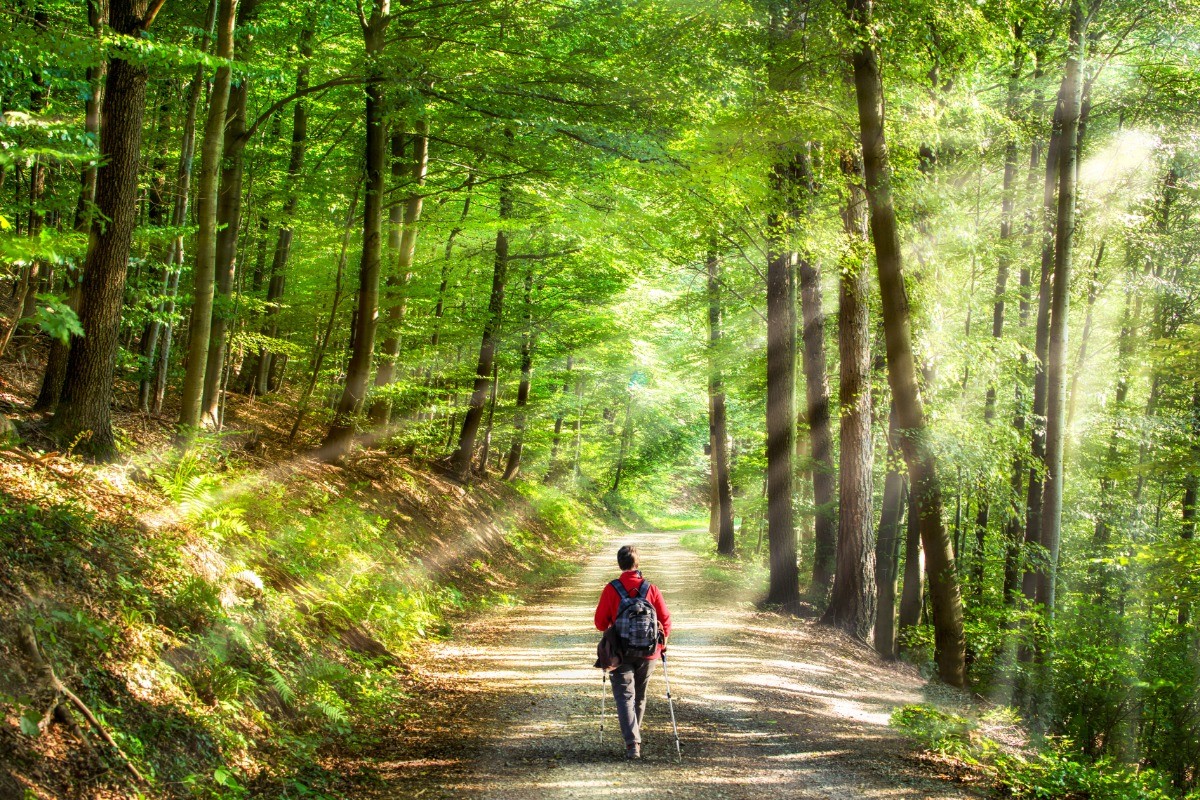 Le parcours de santé en pleine nature est accessible toute l’année. Un aire de jeux pour les enfants est ouverte à tous. L’aire de fitness est en accès libre sur le site. Le minigolf de Pâques à la Toussaint. Les chemins de randonnée accessibles
