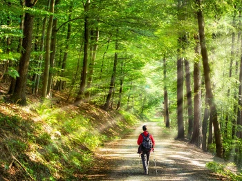 Le parcours de santé en pleine nature est accessible toute l’année. Un aire de jeux pour les enfants est ouverte à tous. L’aire de fitness est en accès libre sur le site. Le minigolf de Pâques à la Toussaint. Les chemins de randonnée accessibles
