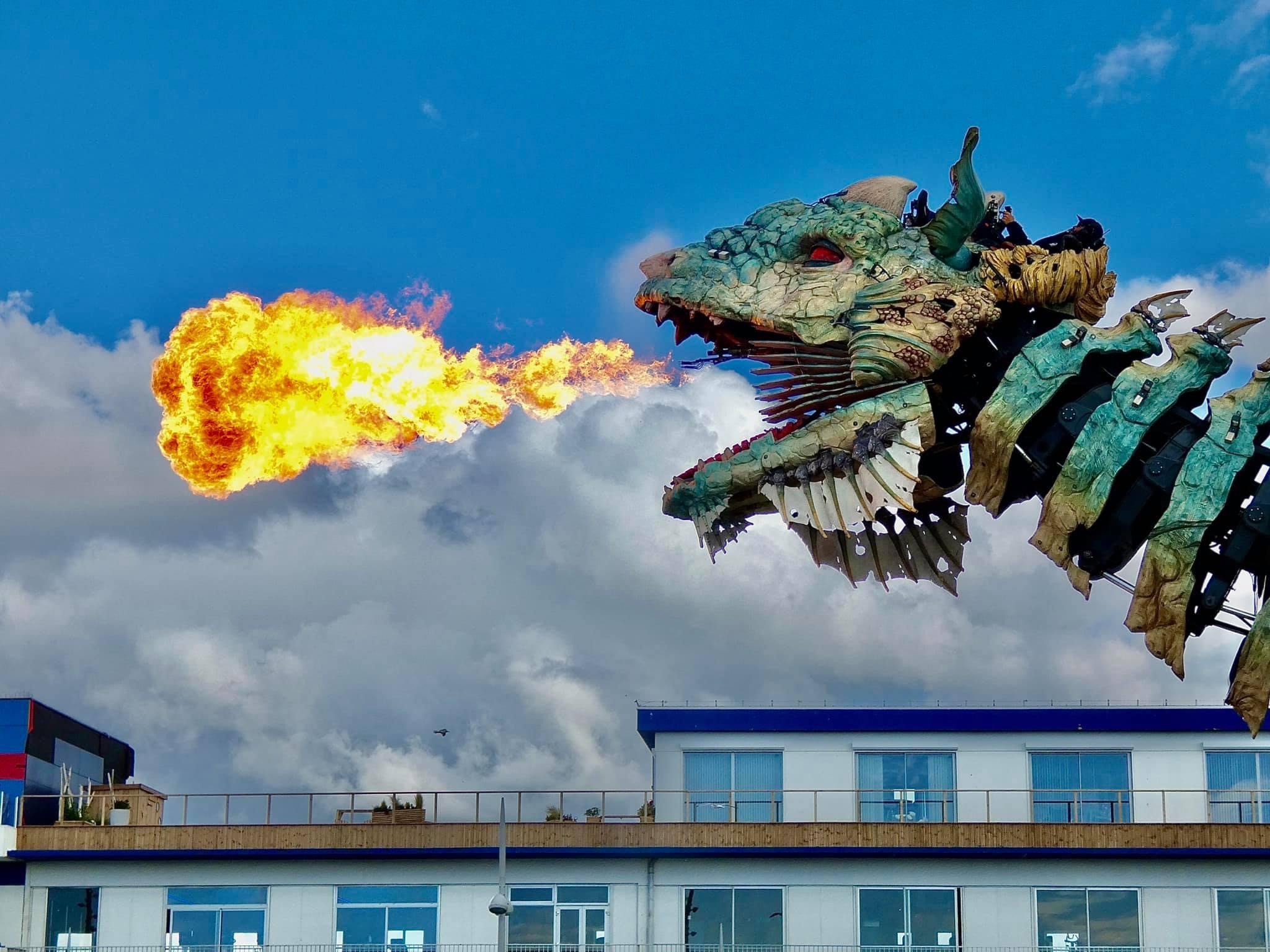Dragon de calais