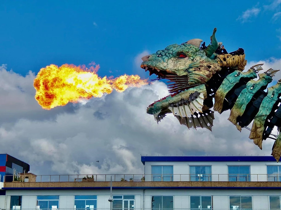 Dragon de calais