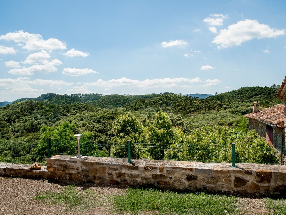 Vue générale