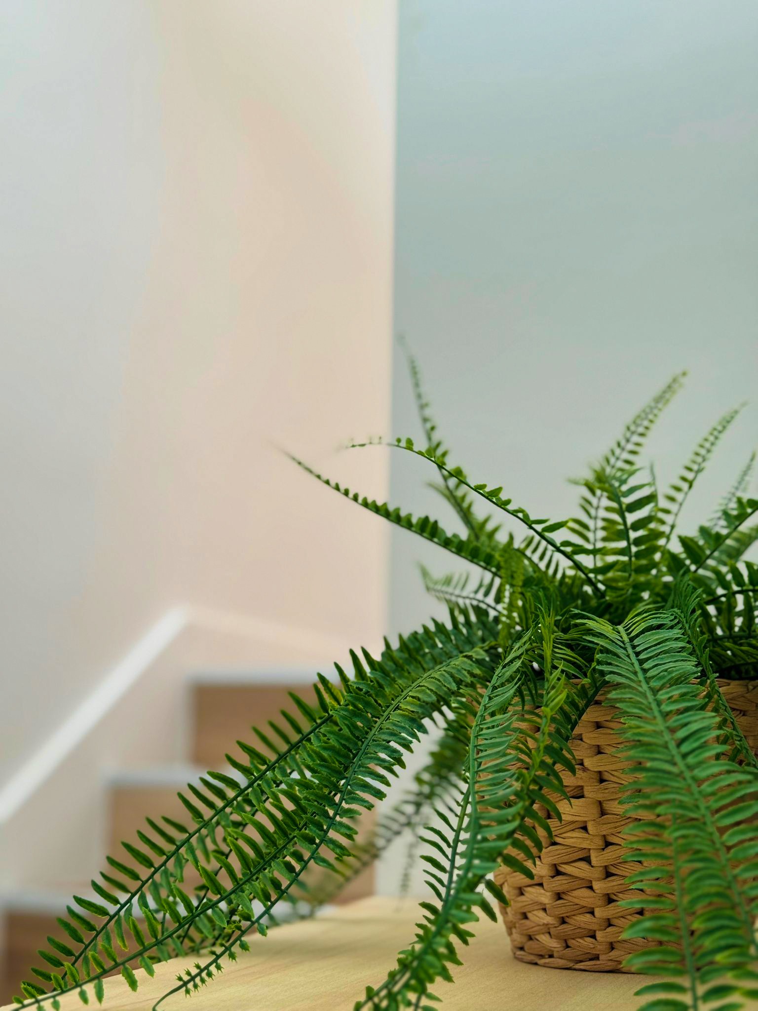 Photo n° 17 of the location