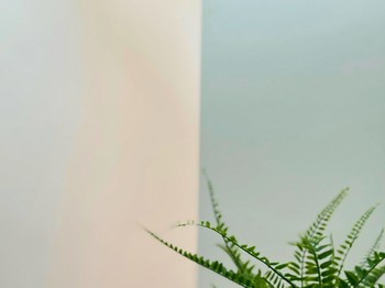 Photo n° 17 of the location