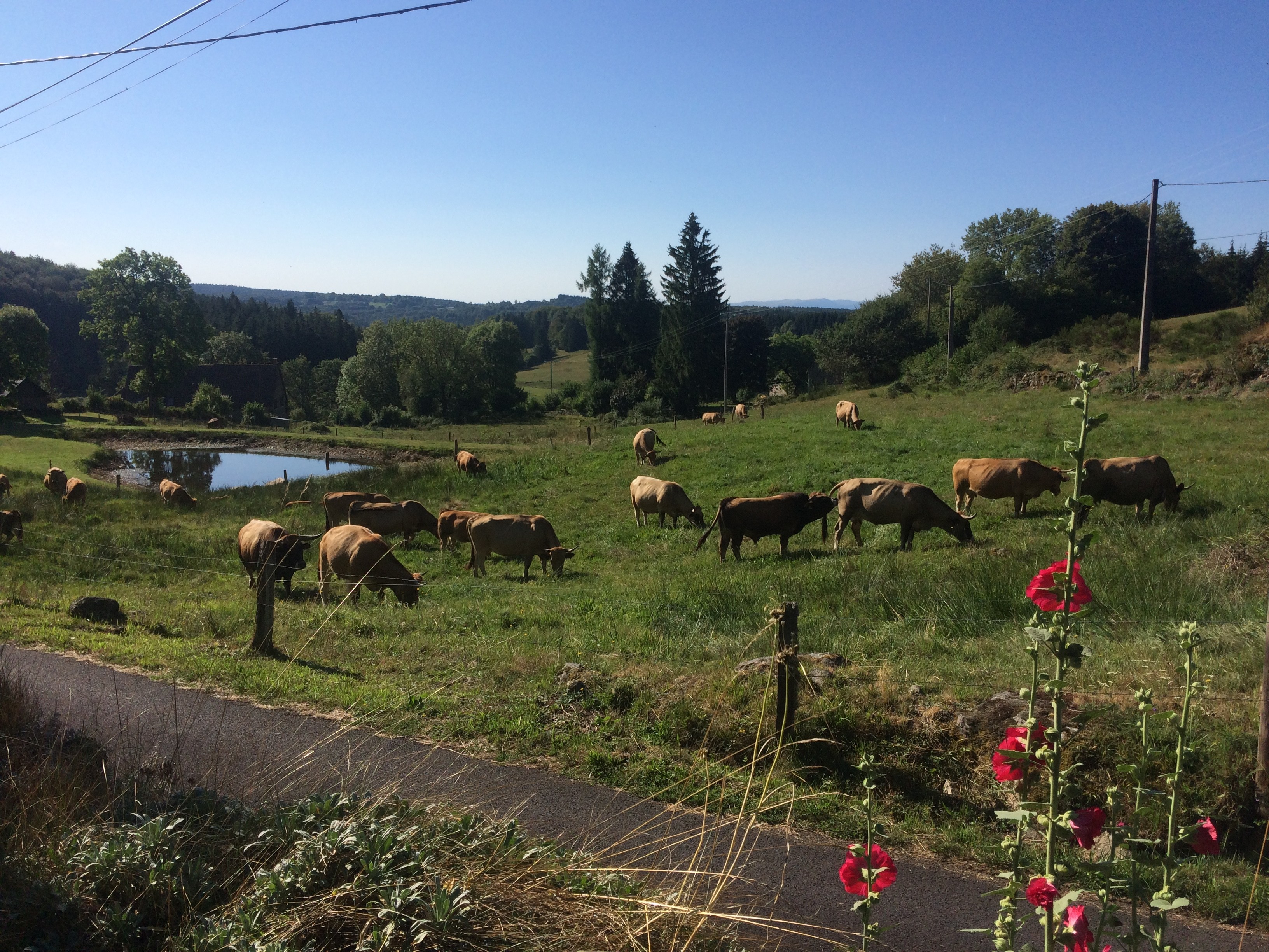 Photo n° 17 de la location